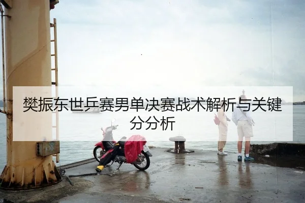 樊振东世乒赛男单决赛战术解析与关键分分析